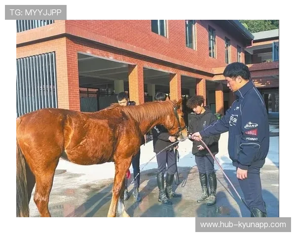 克罗地亚马术协会举办马匹护理培训班，提高骑手护理技能。