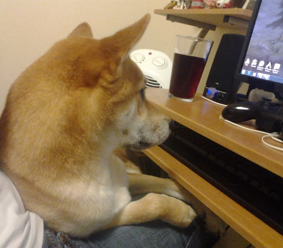 开云集团中国官网-中国女篮通过实战演练提升默契配合，中国女篮现场