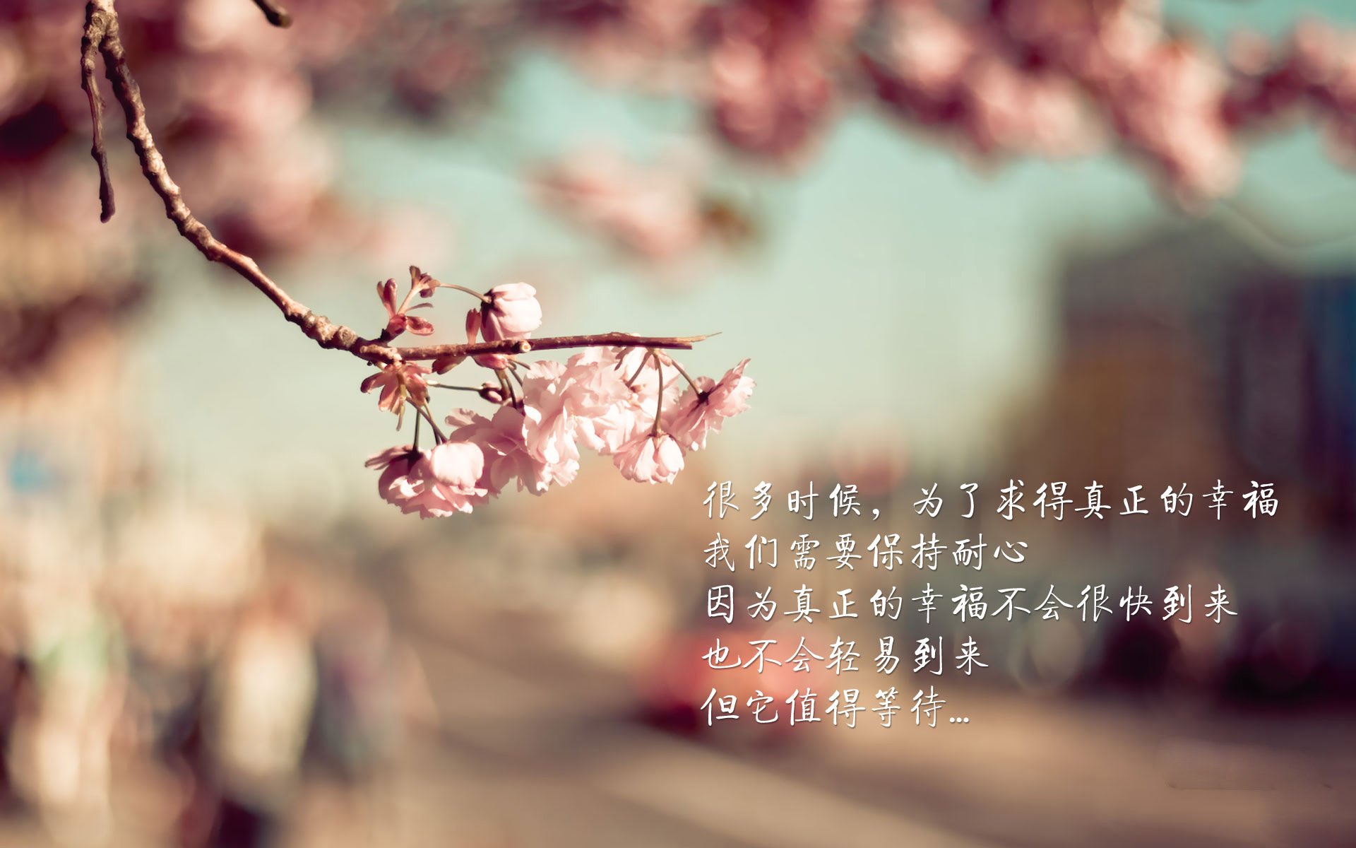 中国男篮海外拉练效果初显对抗质量大幅提升，中国男篮海外球员