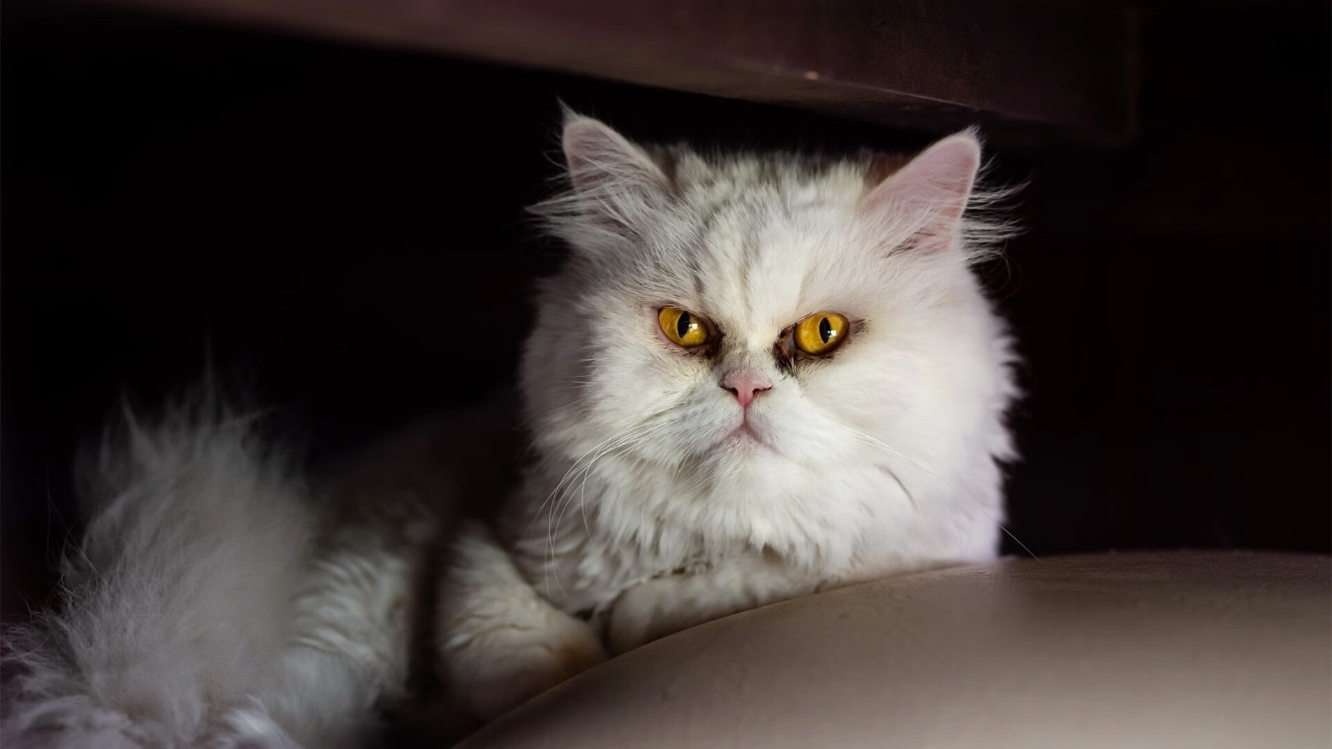 开云·体育官方网站入口-守转攻阶段是否是五大联赛战术创新最集中的部分，守转攻三对三有哪些训练方法